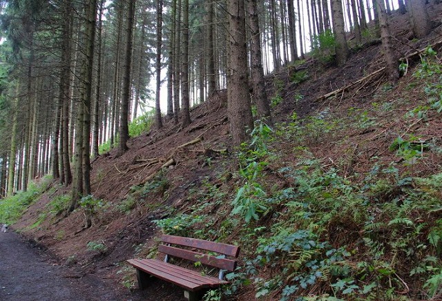 c0153740_3181861.jpg