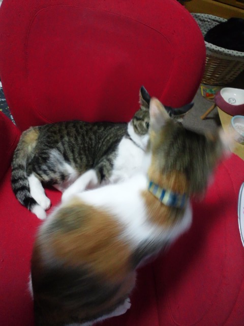 c0194042_21263992.jpg