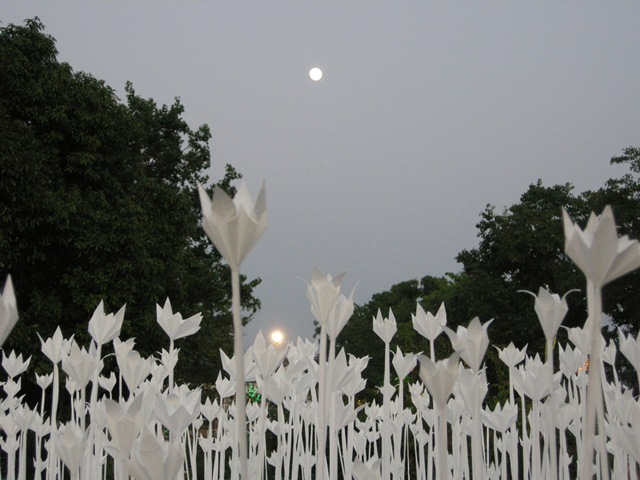 e0091445_11231149.jpg