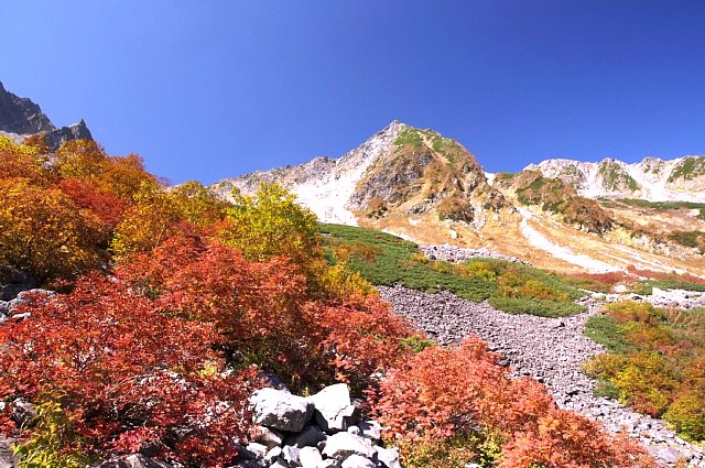 b0122448_7141655.jpg