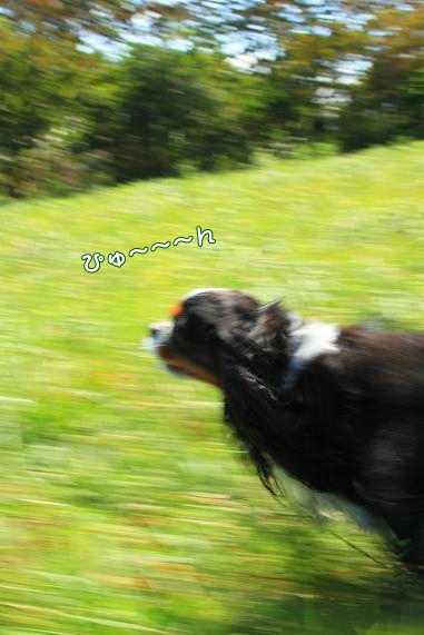 c0145250_4161319.jpg