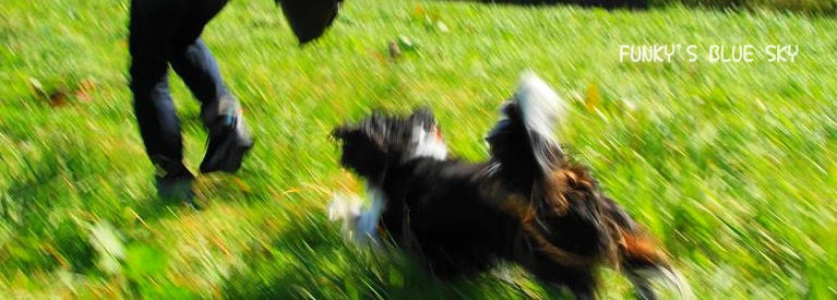 c0145250_4201130.jpg