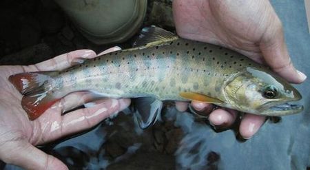 f0065551_4142627.jpg