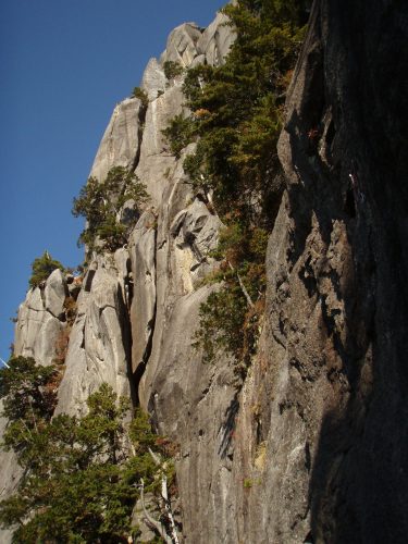 b0050067_20445042.jpg