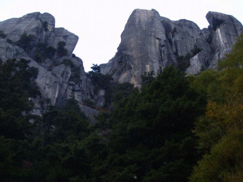 b0050067_20574927.jpg