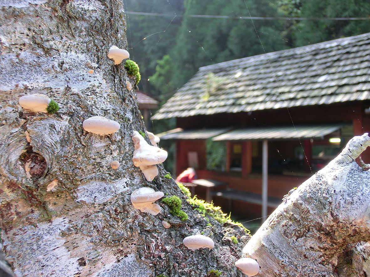 c0171468_0135394.jpg