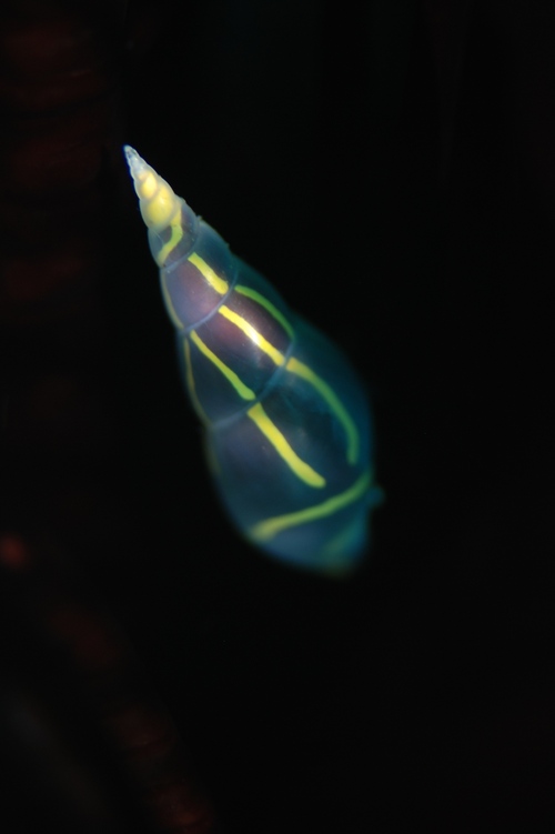 c0181073_224404.jpg