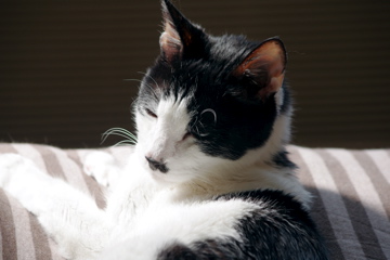 f0054677_7353644.jpg
