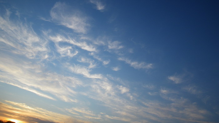 c0197578_1143163.jpg