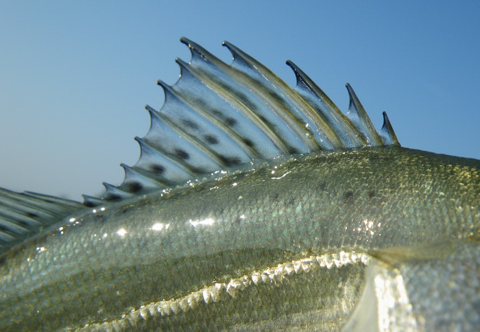 c0197578_1204731.jpg
