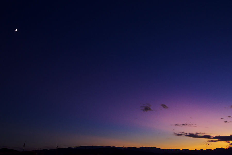 b0083779_76993.jpg