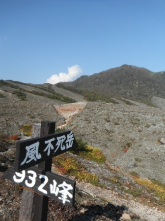 e0210380_2043710.jpg