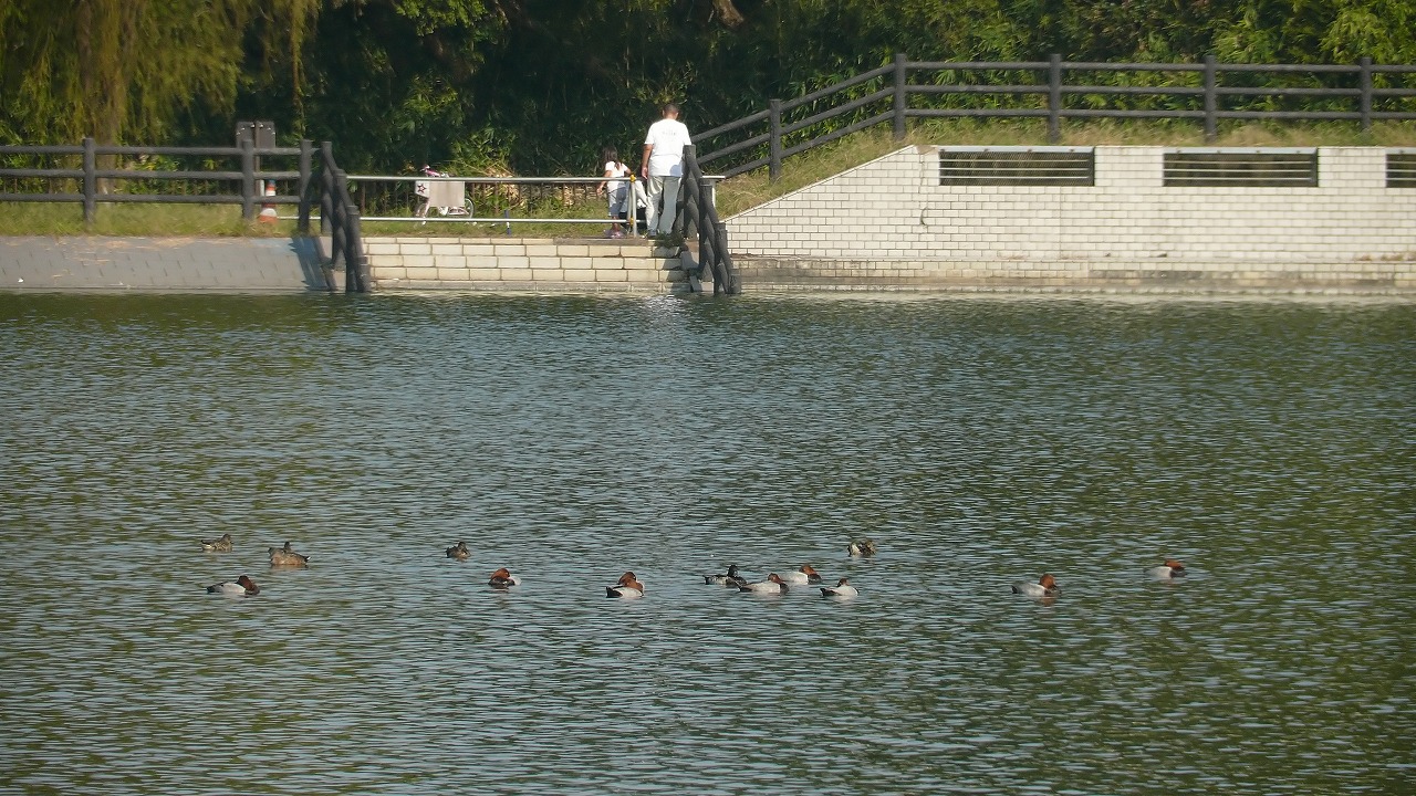 a0185081_11542726.jpg