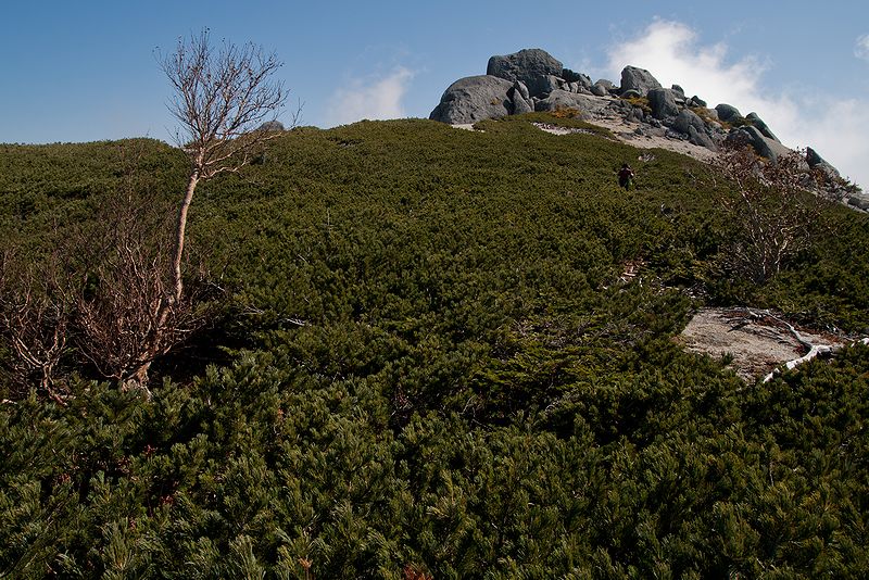 f0234982_9434796.jpg