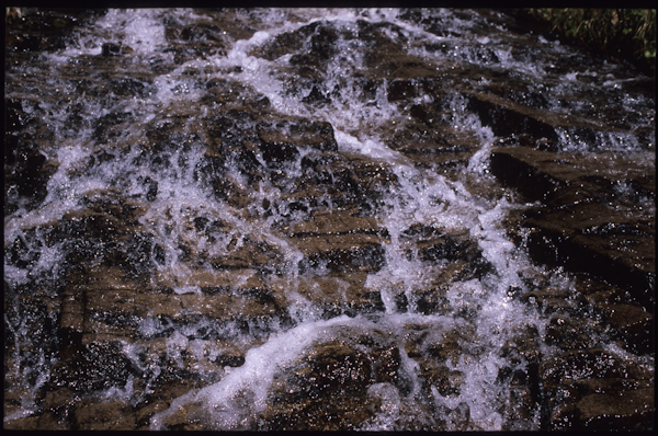 a0053783_23542811.jpg