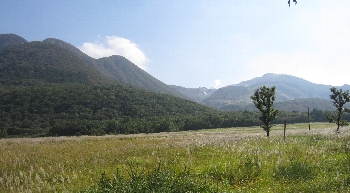 f0003283_18573298.jpg