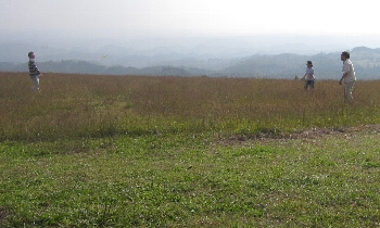 f0003283_1859654.jpg