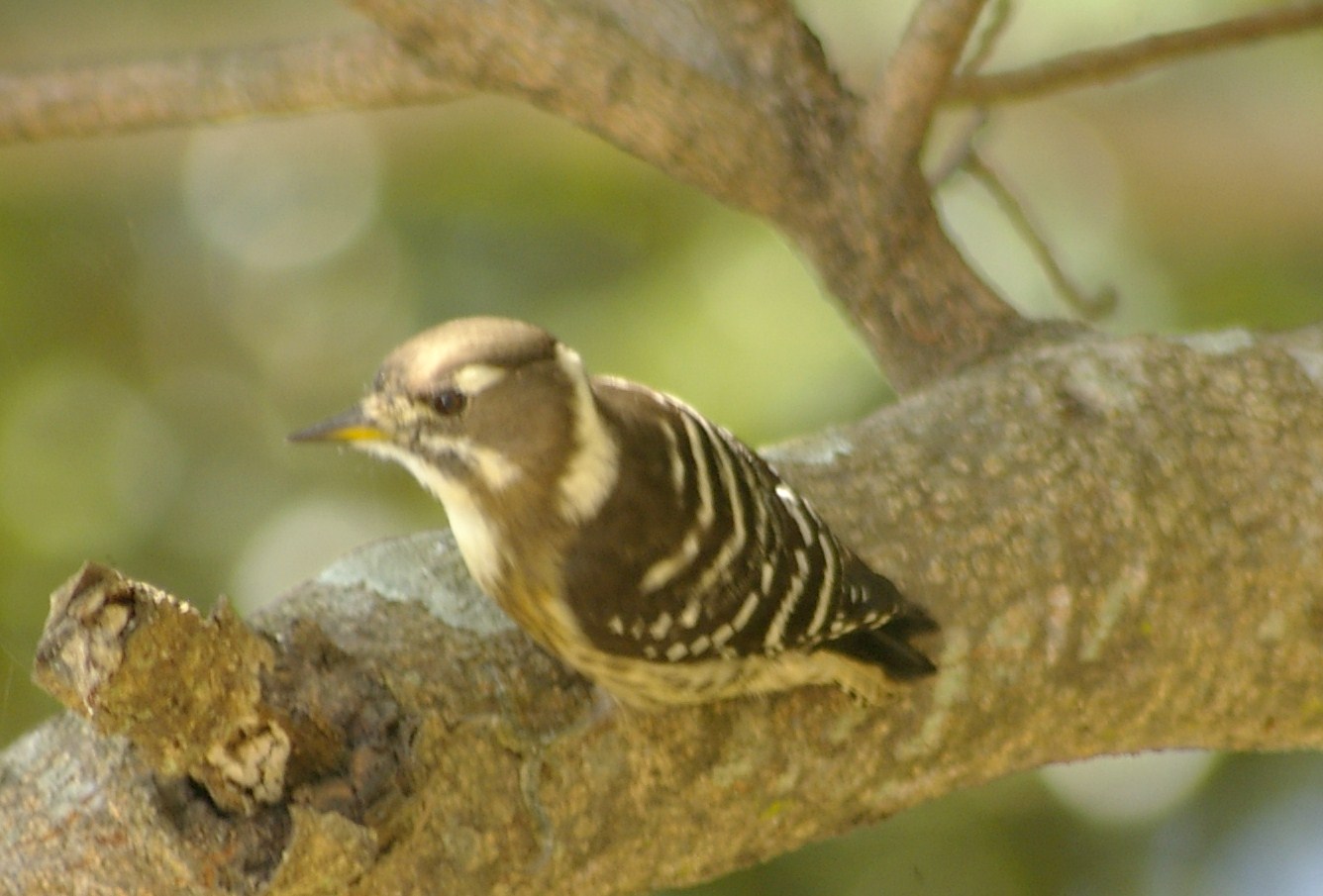 e0197884_2157202.jpg
