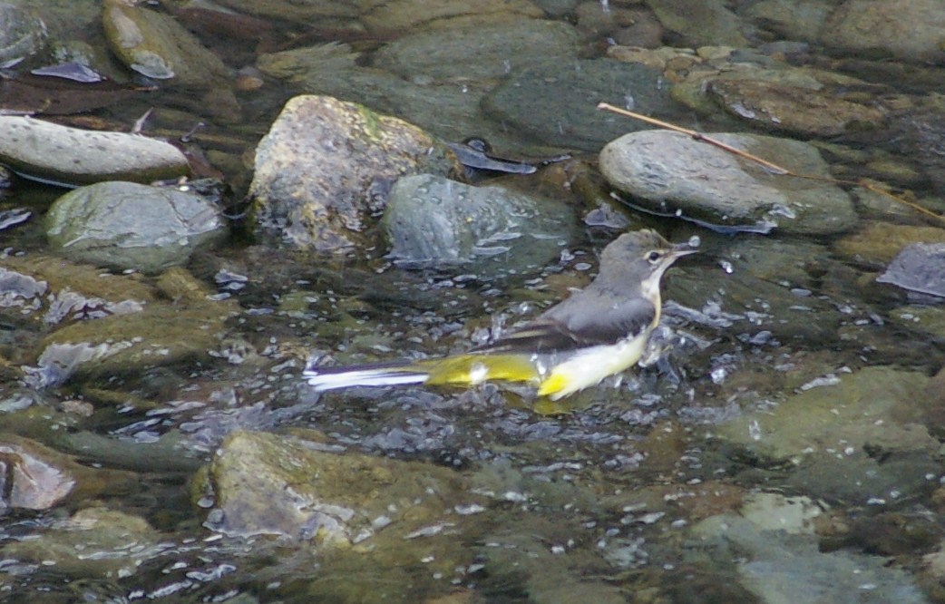e0197884_22154785.jpg