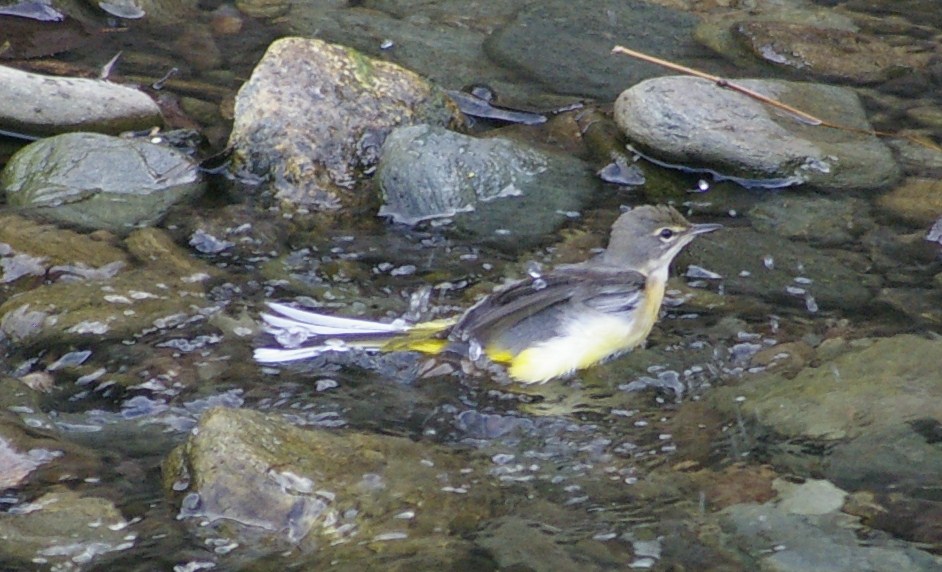 e0197884_22163234.jpg