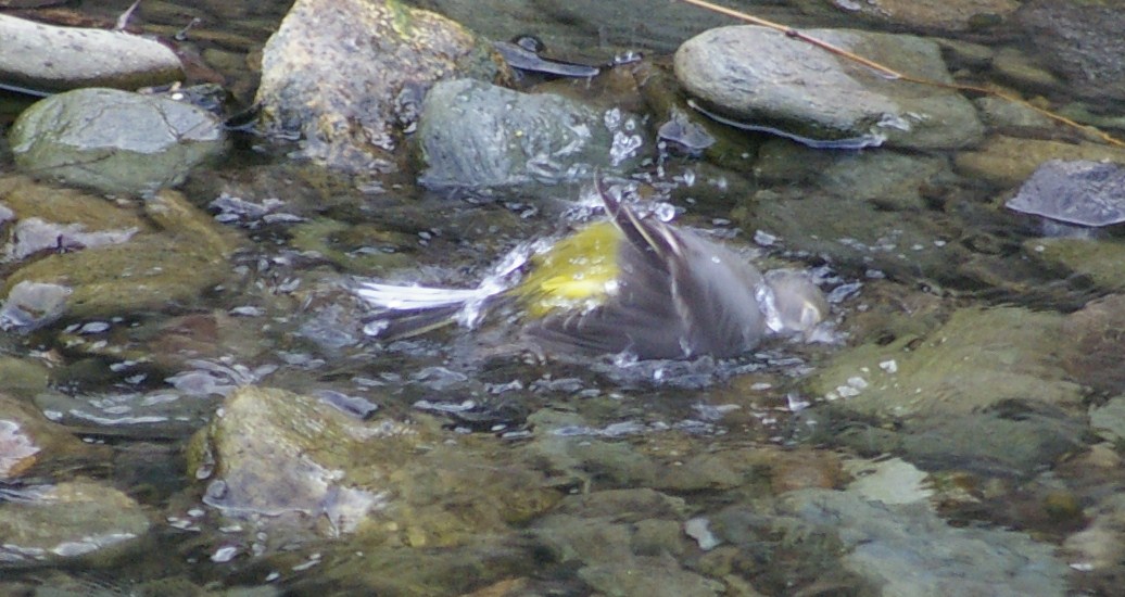 e0197884_2216411.jpg