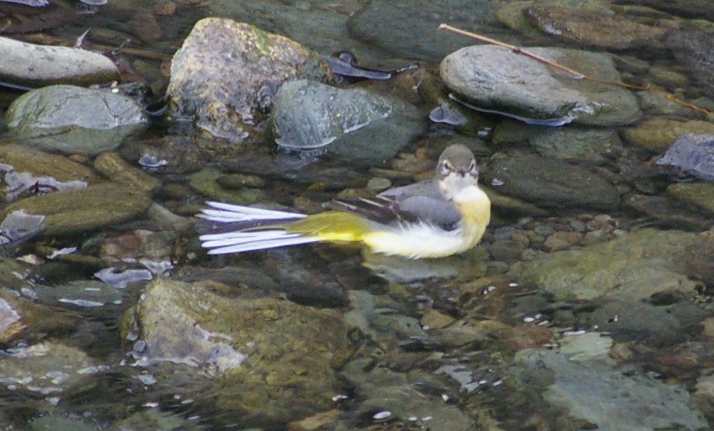 e0197884_22164431.jpg