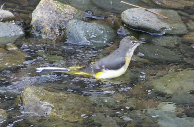 e0197884_22165975.jpg
