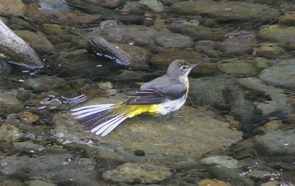 e0197884_22171471.jpg