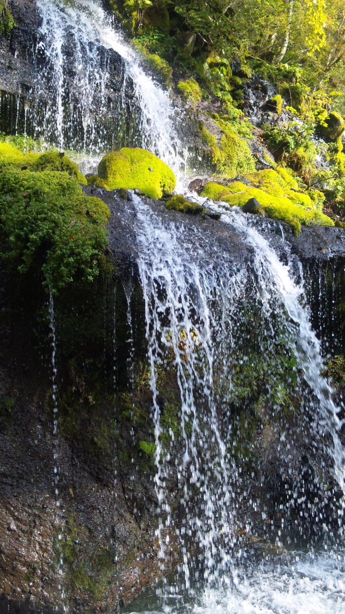 c0204188_13495697.jpg