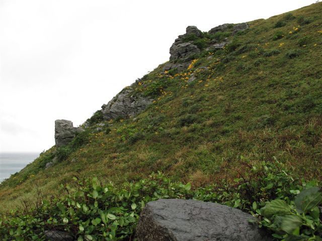 c0064389_1248166.jpg