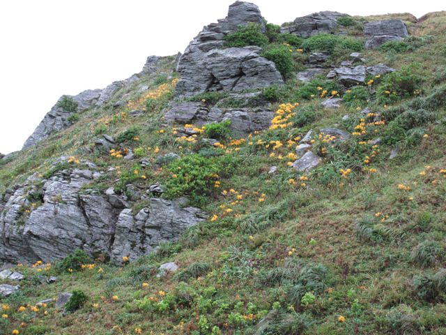c0064389_12483850.jpg