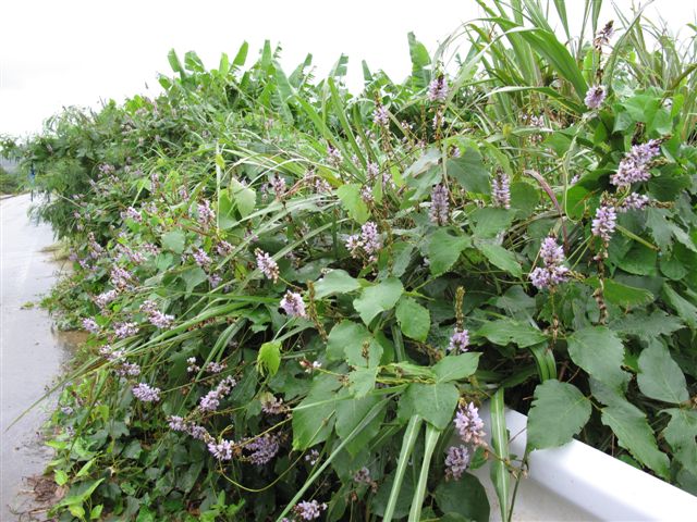 c0064389_12492681.jpg