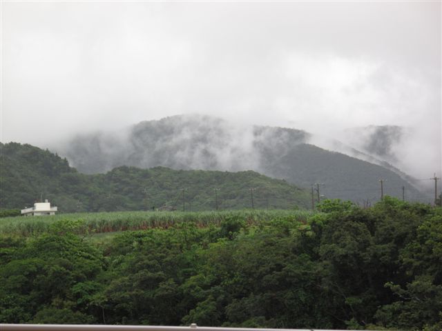 c0064389_1250224.jpg