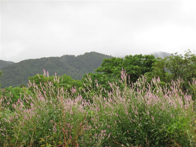 c0064389_12503467.jpg