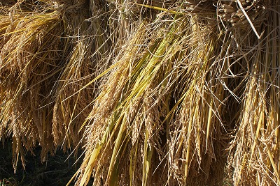f0079289_21351527.jpg