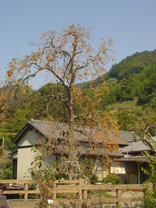 d0212491_8552030.jpg