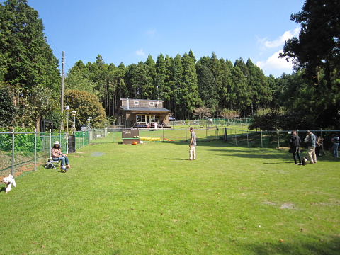 b0104592_16305536.jpg