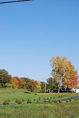 f0199394_9502316.jpg
