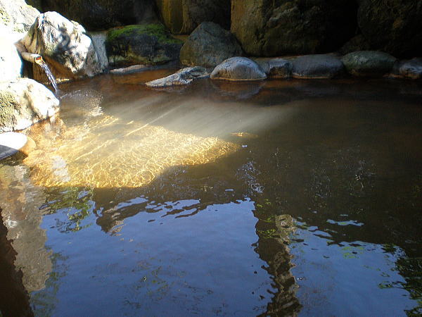 b0115497_1726571.jpg