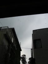 b0122499_1205791.jpg