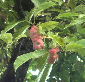 e0122199_22523510.jpg