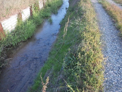 f0082402_2126434.jpg