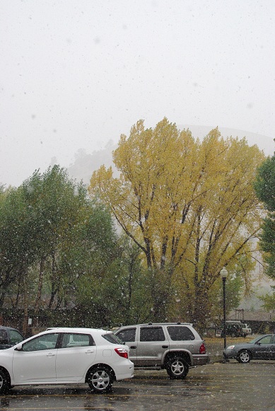f0038904_943175.jpg