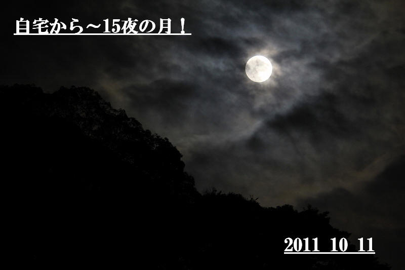 a0188405_14334933.jpg