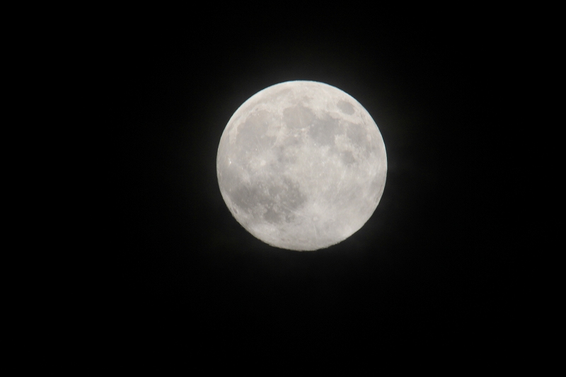 a0188405_1439640.jpg