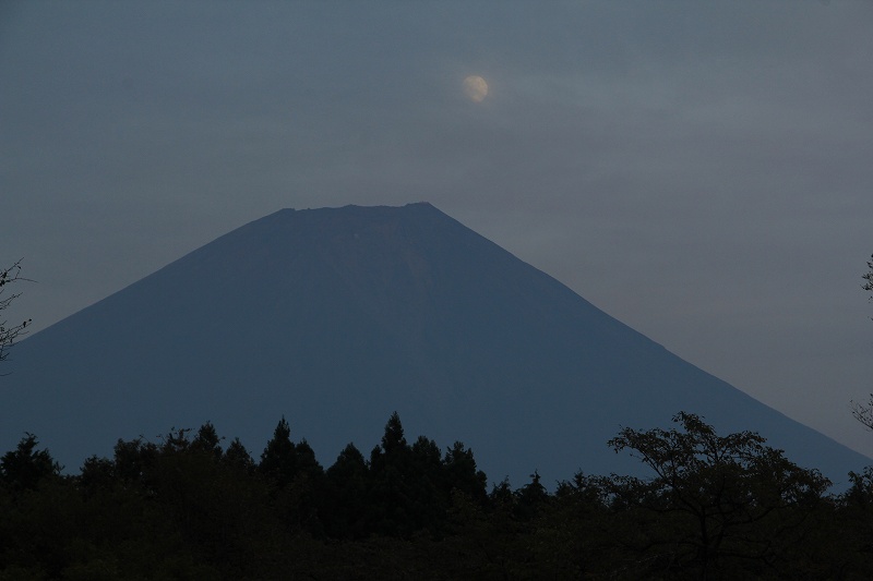 a0188405_14432392.jpg