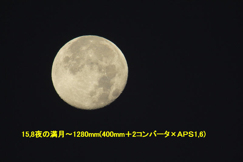 a0188405_145324100.jpg