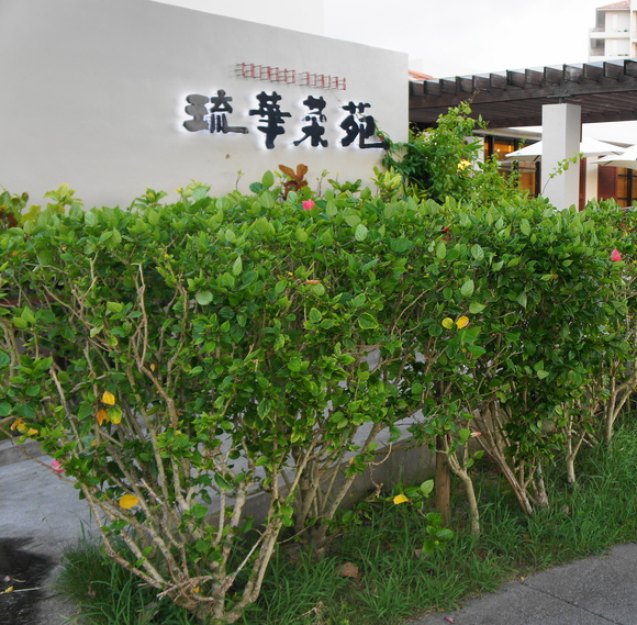 b0139906_13381721.jpg