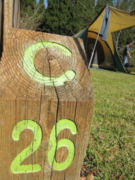c0145209_22123676.jpg