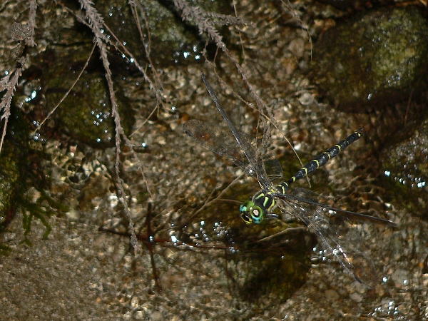 e0002314_2031570.jpg